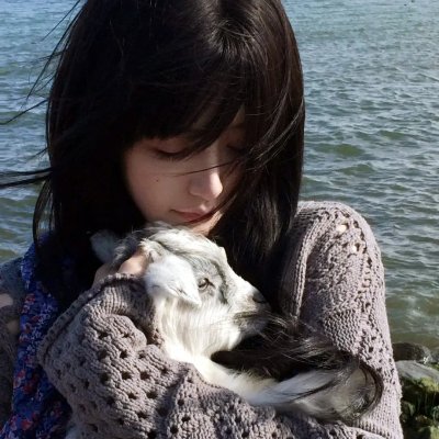 亚曼达厌世系