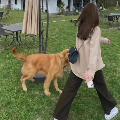 阿凡达
